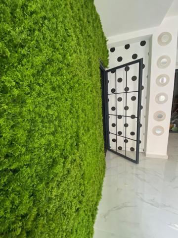 Suite 43 테라시니 외부 사진